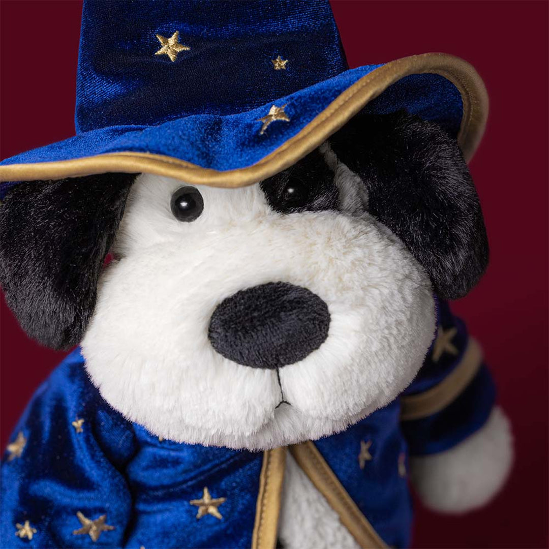 Rufferty Puppy 'Wizard' — gallery photo 2