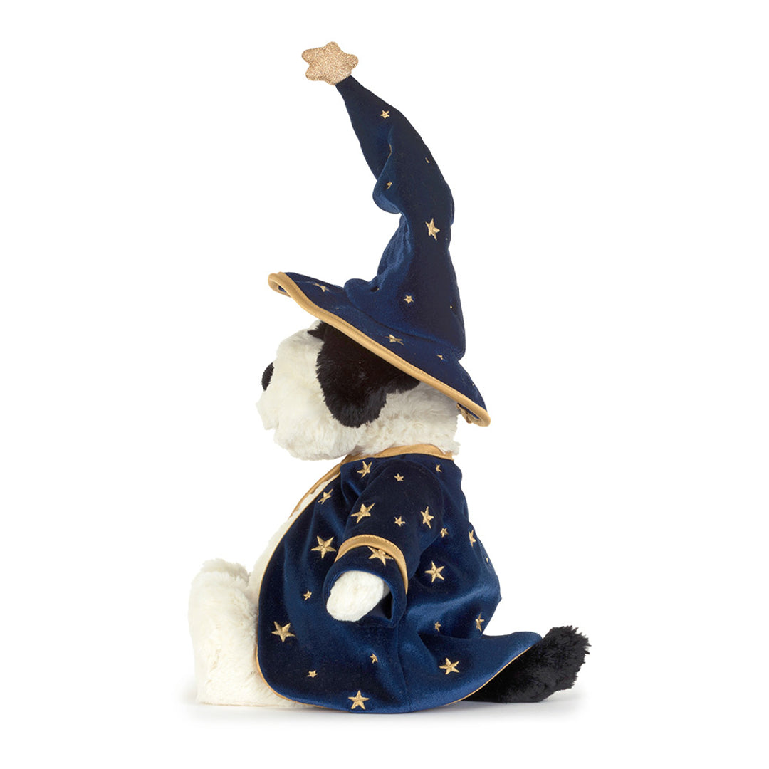 Rufferty Puppy 'Wizard' — gallery photo 3