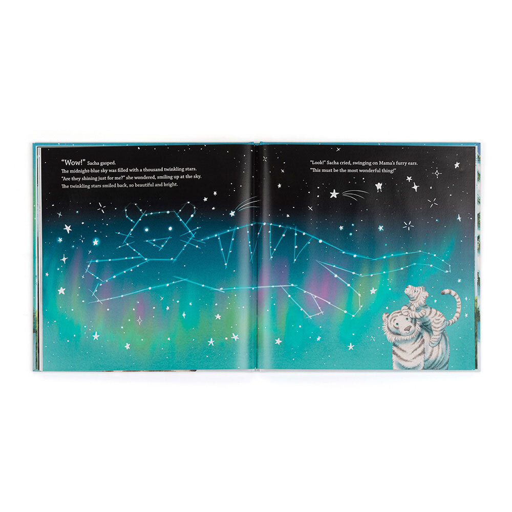 Sacha and the Most Wonderful Thing Book — gallery photo 3