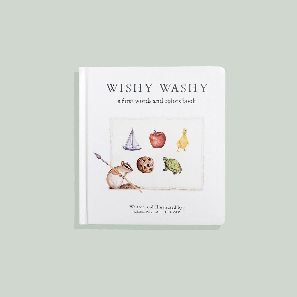 Wishy Washy First Words & Colors