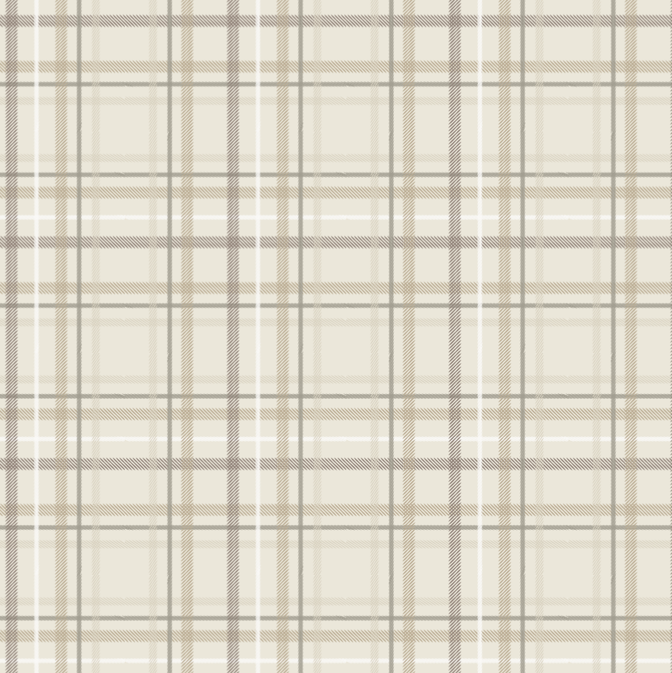 Plaid Minky Stretch Receiving Blankets — gallery photo 2