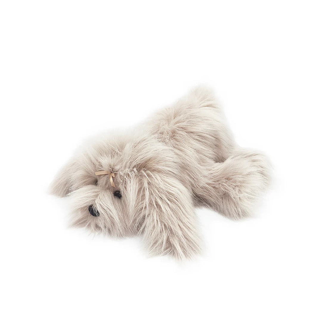 Schannel Lux Shih Tzu Dog