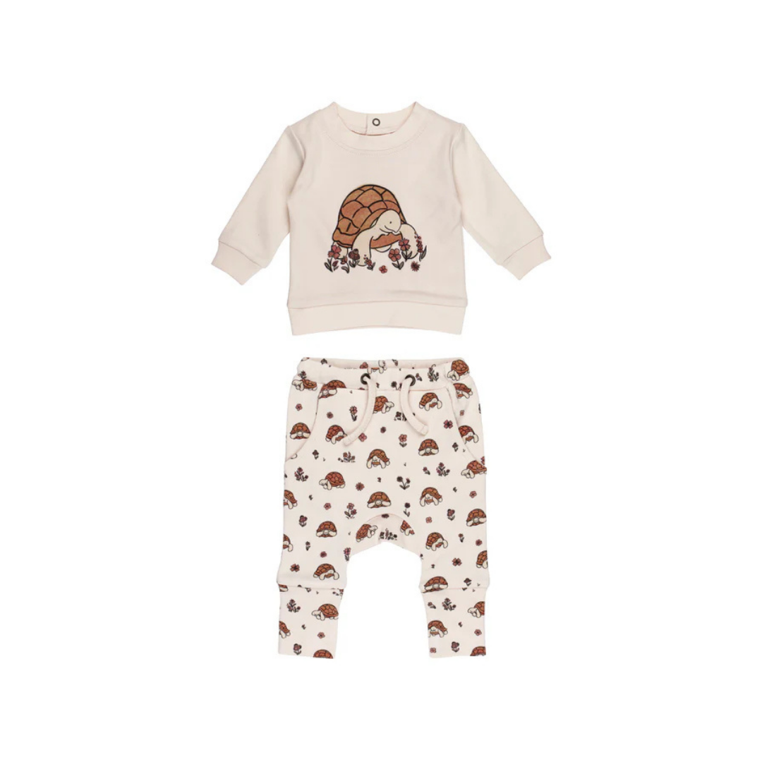 Tiny Tortoise Desert Friends Sweatshirt & Jogger Set