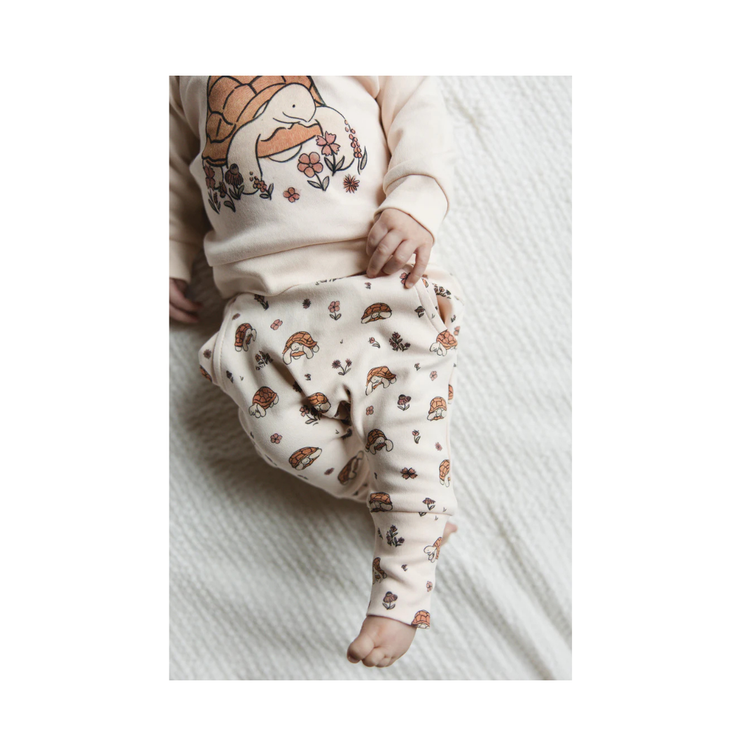 Tiny Tortoise Desert Friends Sweatshirt & Jogger Set