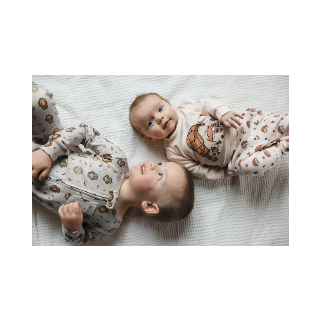 Tiny Tortoise Desert Friends Sweatshirt & Jogger Set