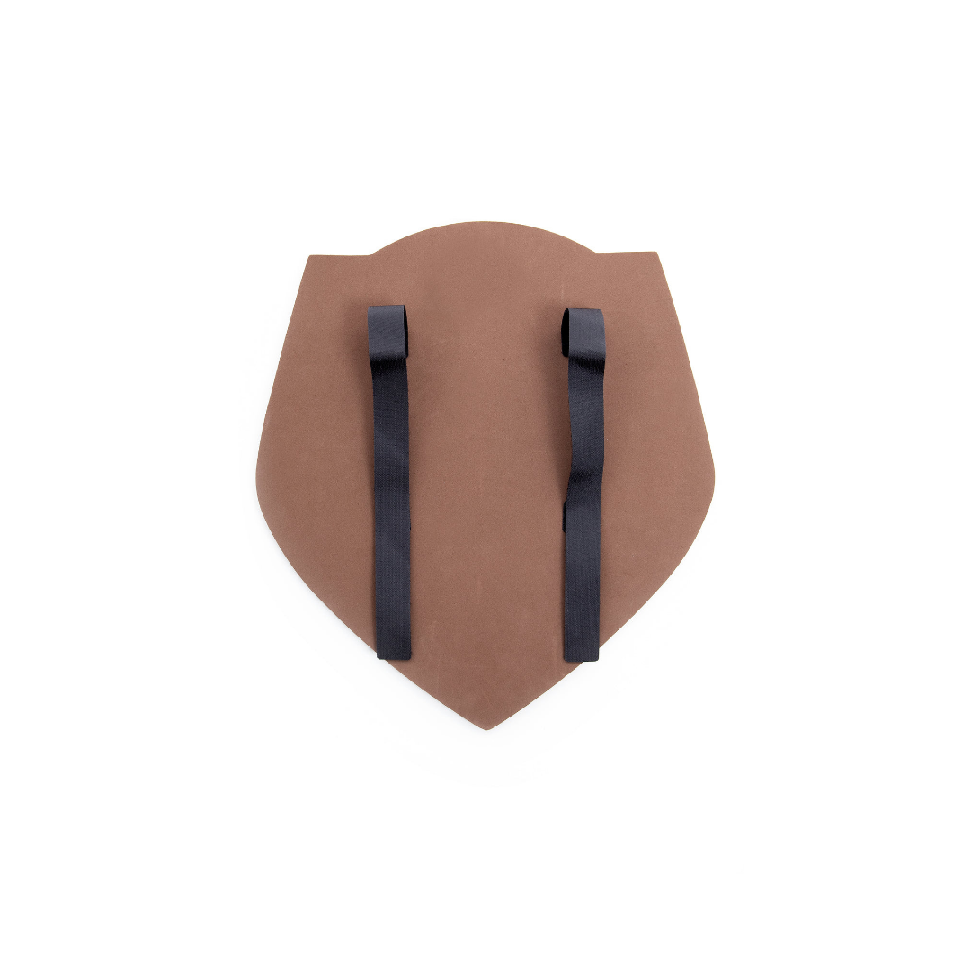 Pirate Shield