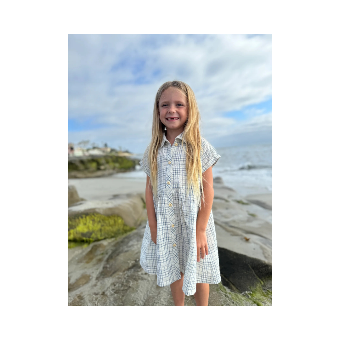 Blue Plaid Seersucker Heather Dress