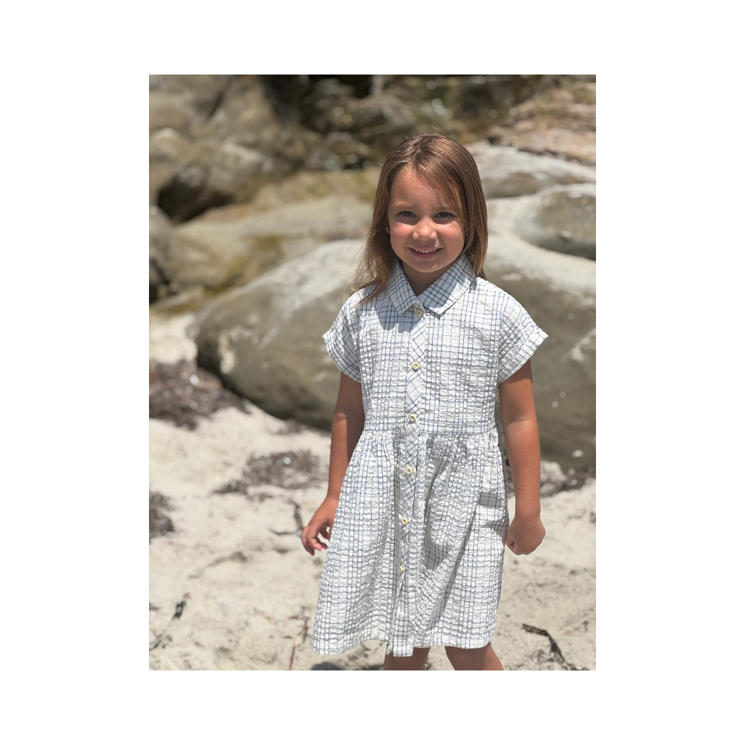 Blue Plaid Seersucker Heather Dress