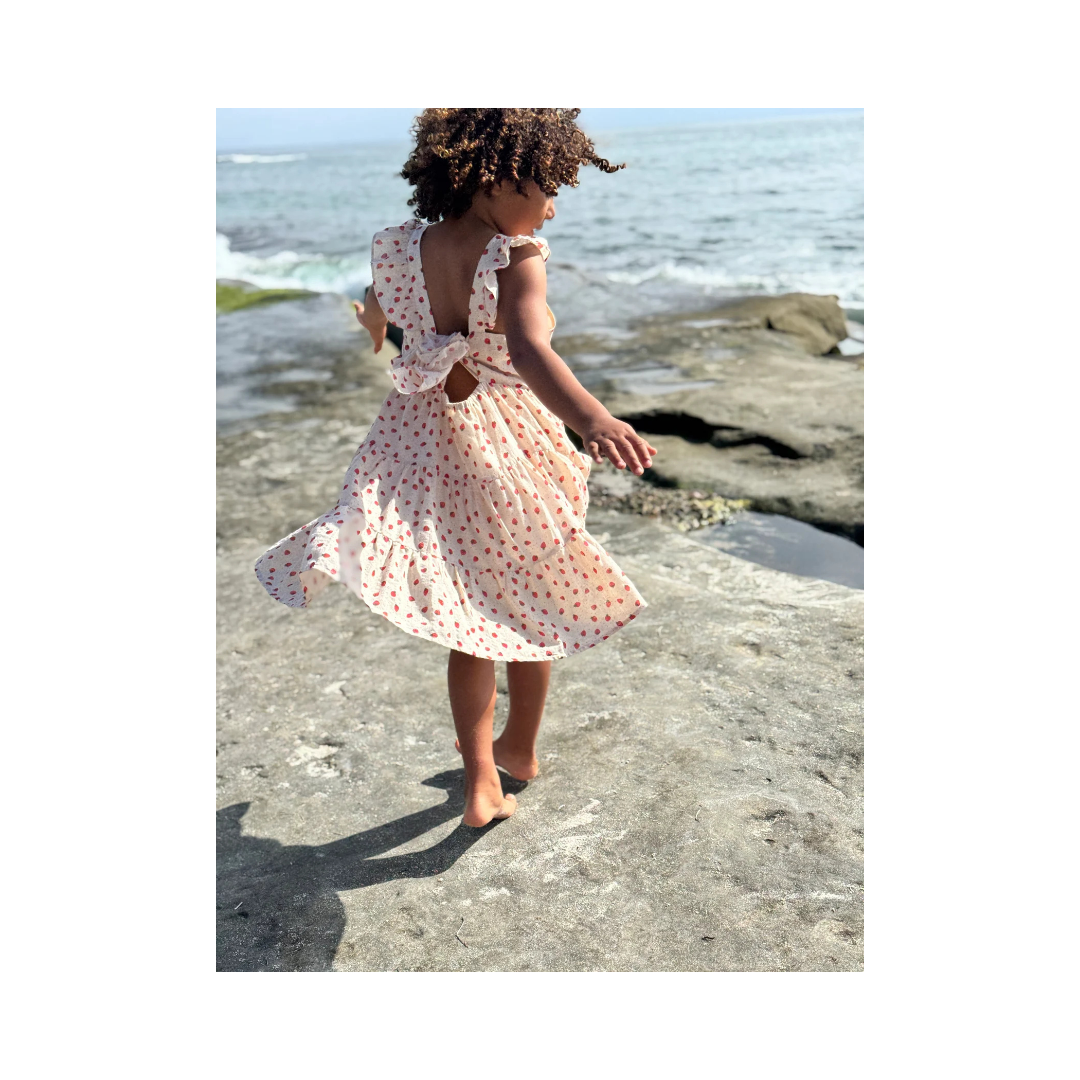 Oatmeal Strawberries Emma Dress