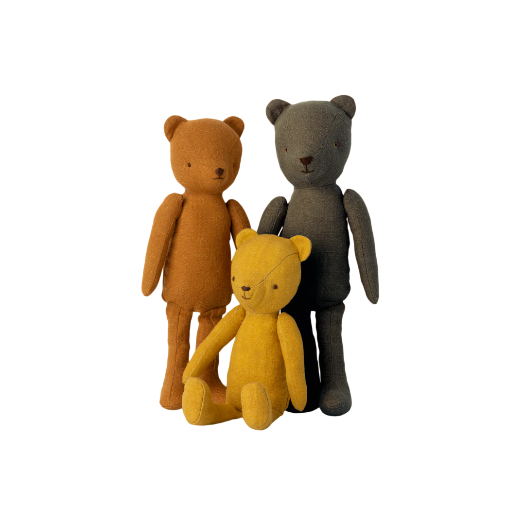 Teddy Dad
