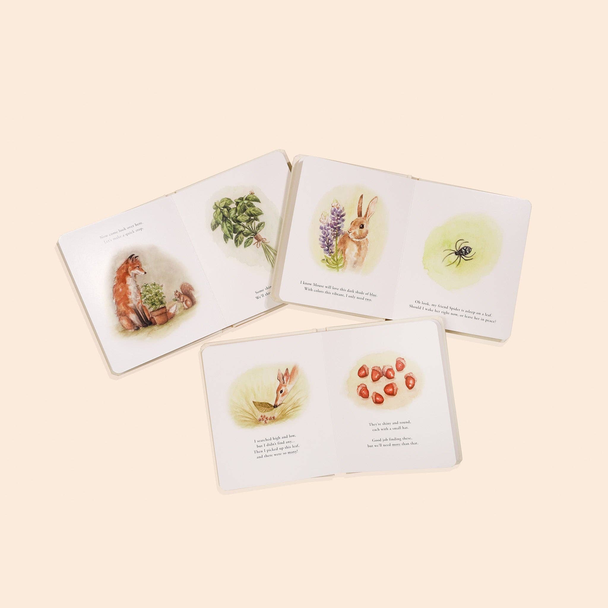 Our Little Adventures Board Book Box Set for Kids