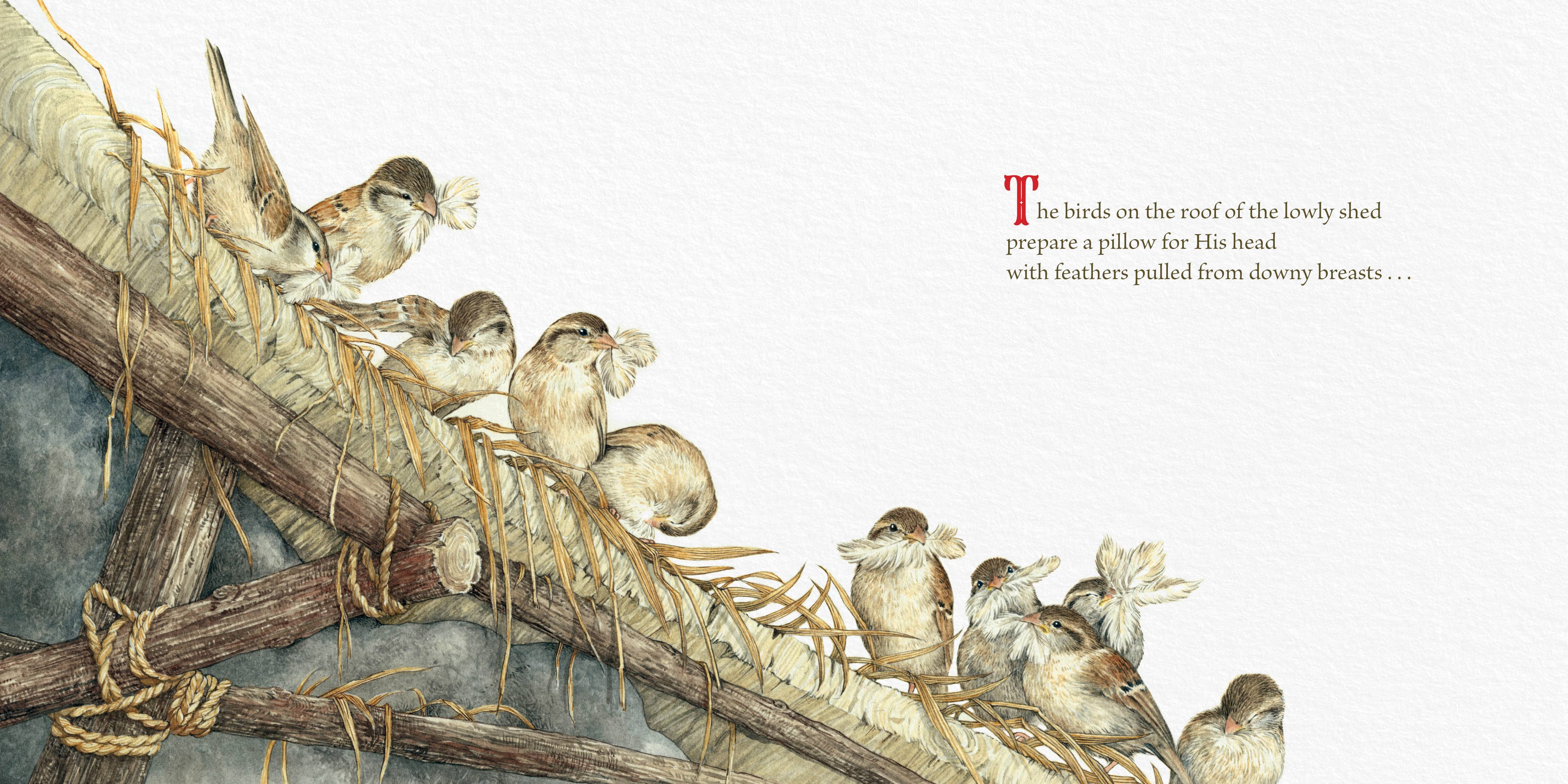 The Gifts of the Animals