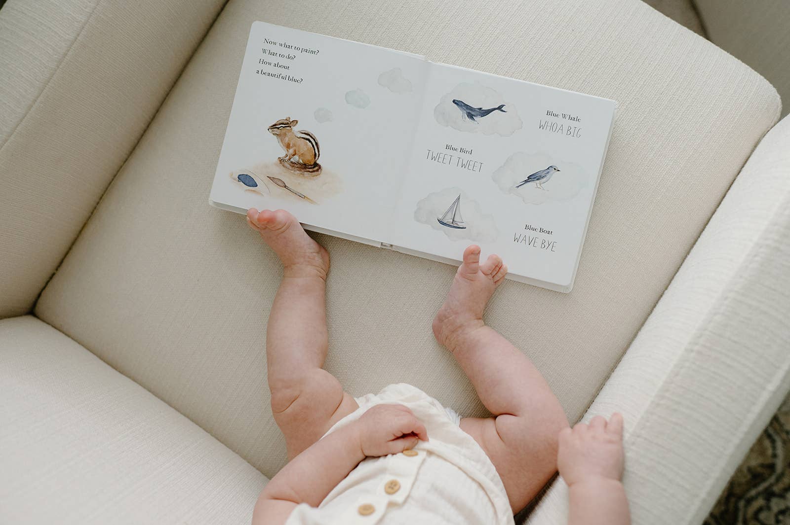 Wishy Washy: A Board Book of First Words and Colors