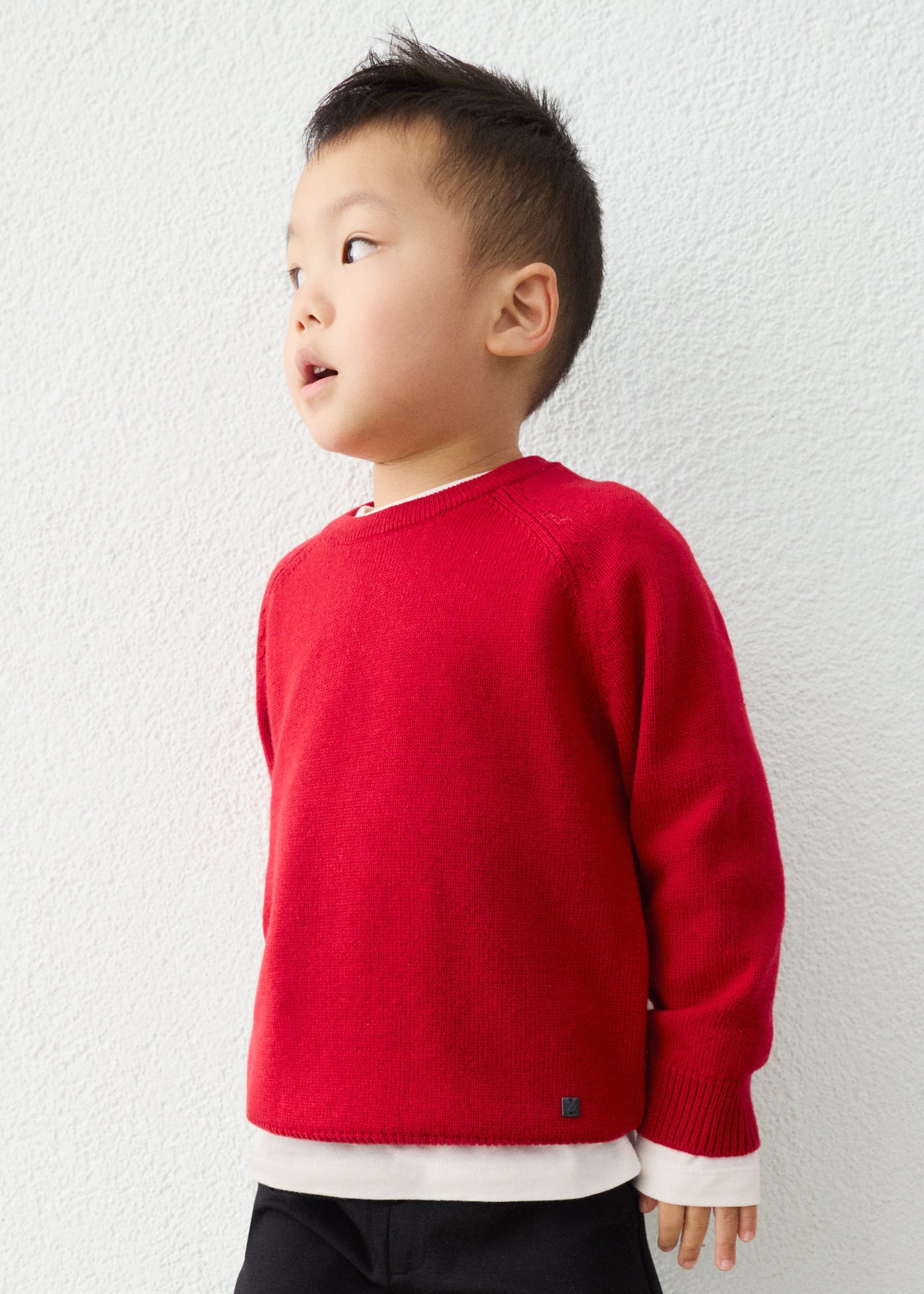 Rojo Crew Neck Sweater 311