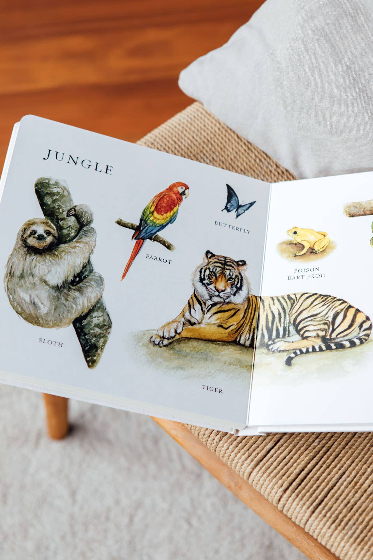 Our Big Book of Animals (Board Book)