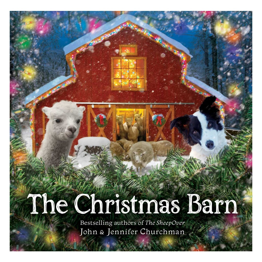 Cover of The Christmas Barn by John and Jennifer Churchman, showing an alpaca, sheep and a black-and-white dog gathered in front of a glowing red barn trimmed with Christmas lights