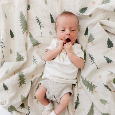 Swaddle Set Pine Cotton — main product photo
