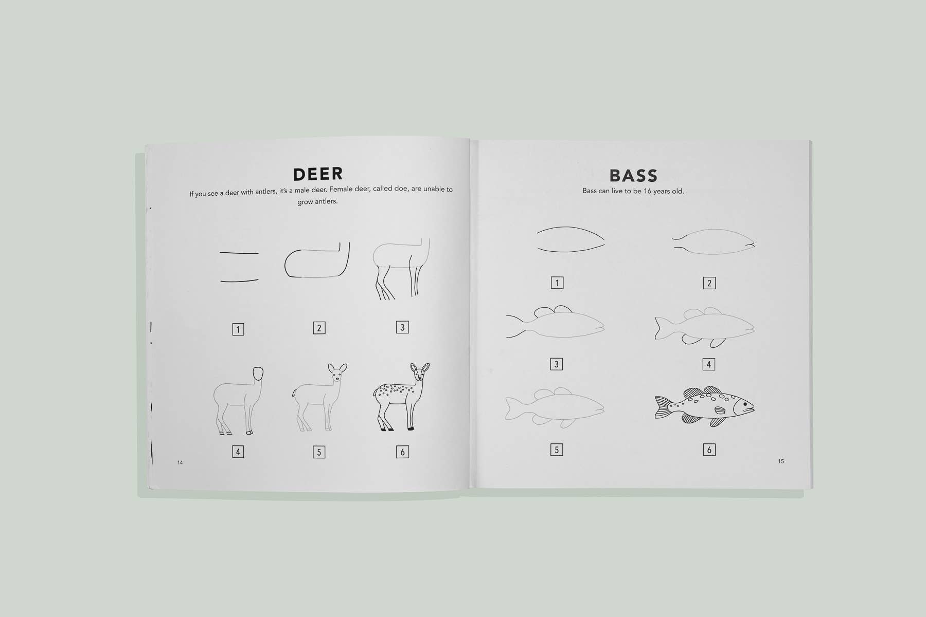 Mushrooms & Woodland Creatures: Kids How to Draw Book