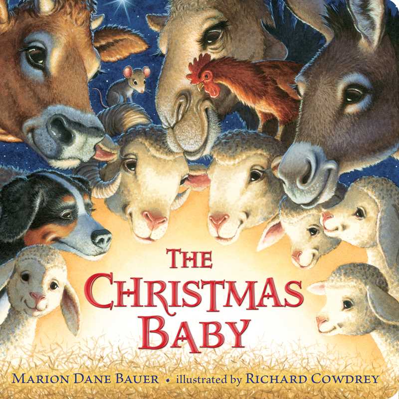 Christmas Baby by Marion  Dane Bauer: Board Books; 34 pages / English