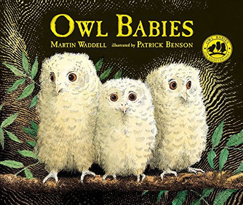 Book- Owl Babies