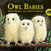 Book- Owl Babies