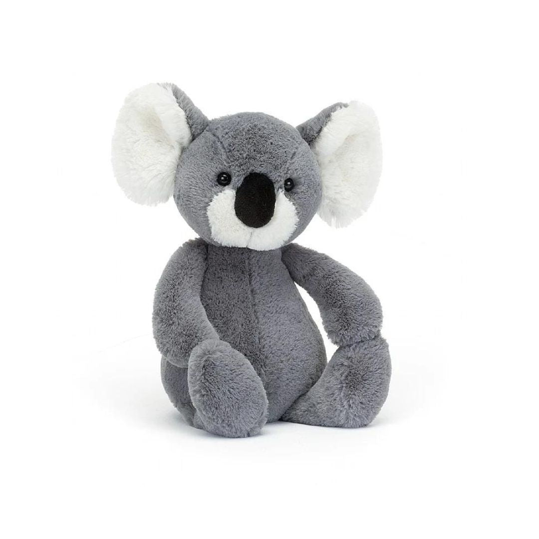 Bashful Koala