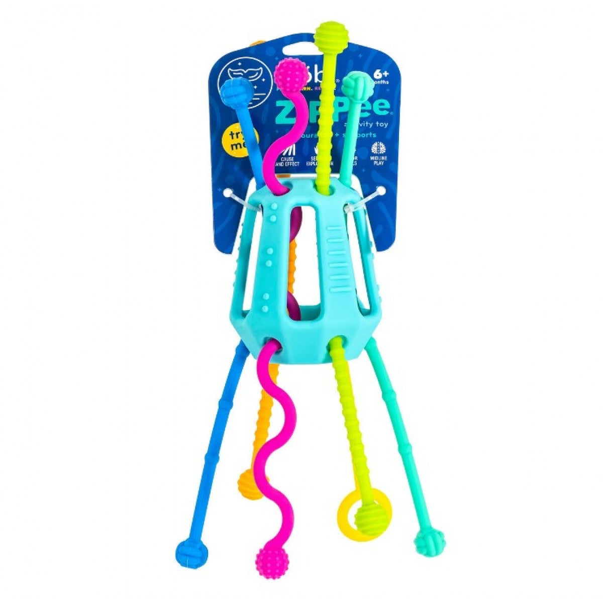 Zippee Activity Toy